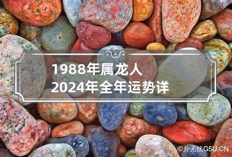 2024年 龙年|属龙的人2024年全年运程运势